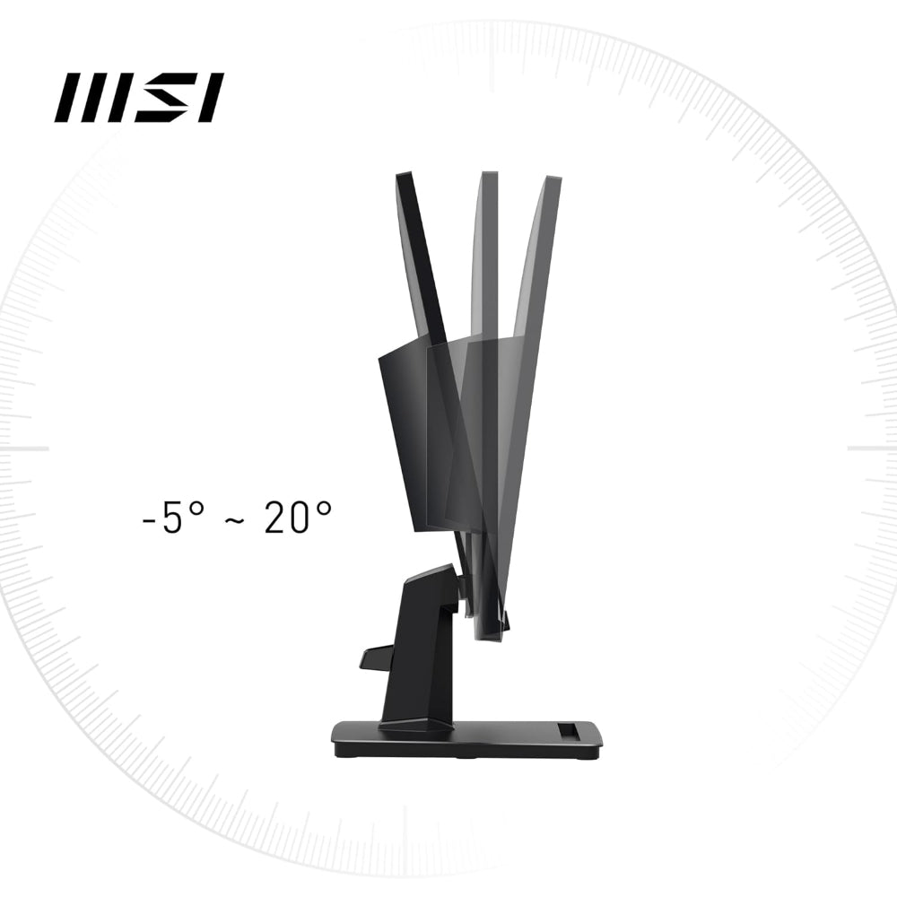 MSI Pro MP251 Monitor, 25 inch