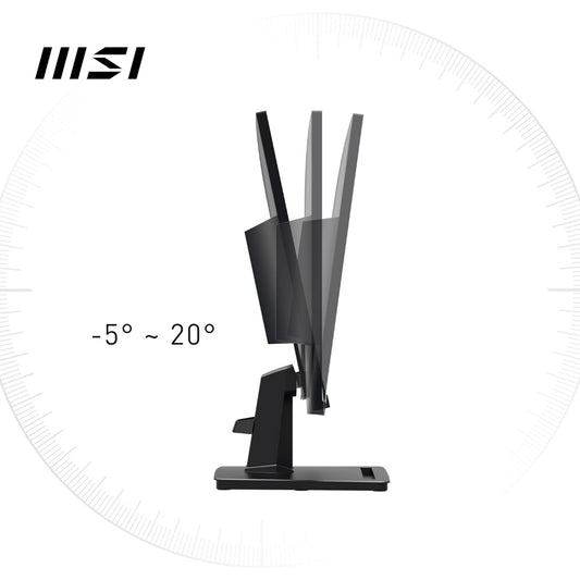 MSI Pro MP251 Monitor, 25 inch