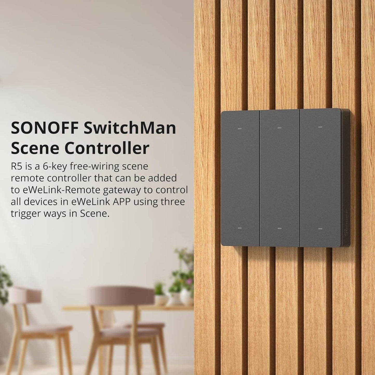 Sonoff SwitchMan R5 Switch Controller