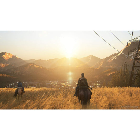 The Last of Us Part II For PlayStation 4